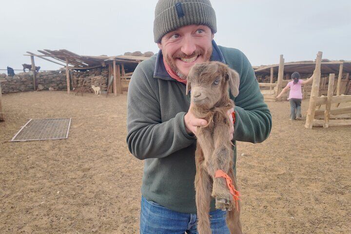  Explore Ulaanbaatar with Guided 6-Day Tour