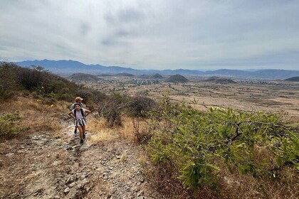 Private Half Day Hiking Experience in Picacho