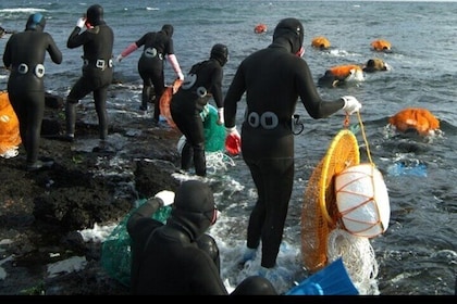 Jeju cruise UNESCO day tour