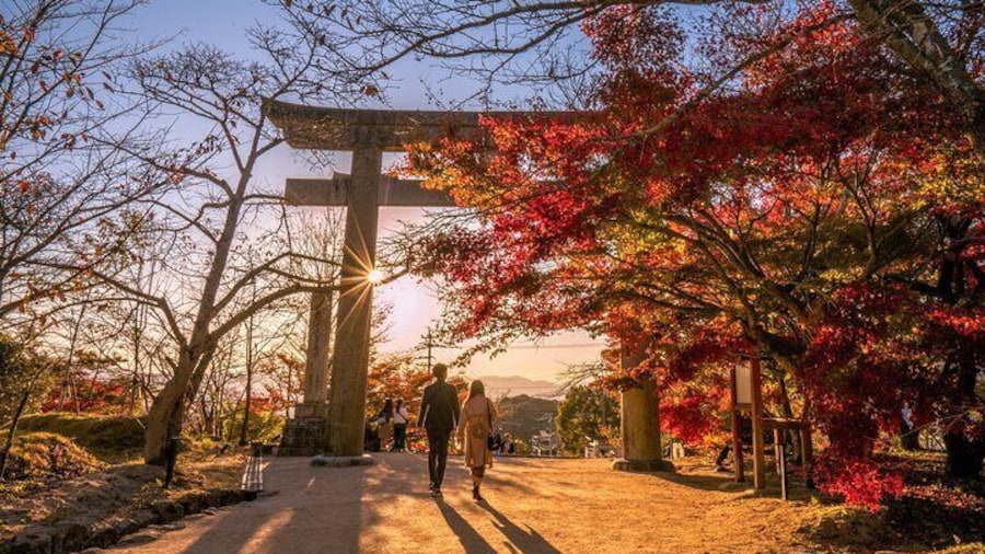 Kyushu Autumn Yabakei Kokonoe Yume Bridge Dazaifu from Fukuoka