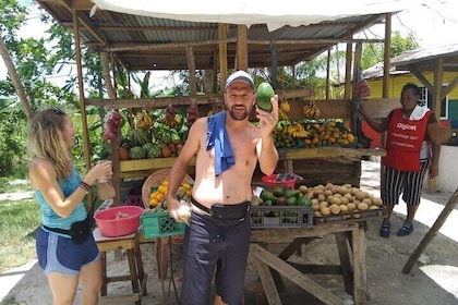 South Coast Cultural Tour History and Nature