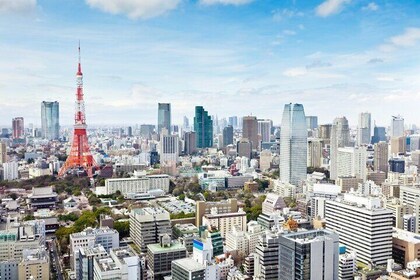 Tokyo 2-Day Private Tour with Guide & Vehicle (Max 15 persons)