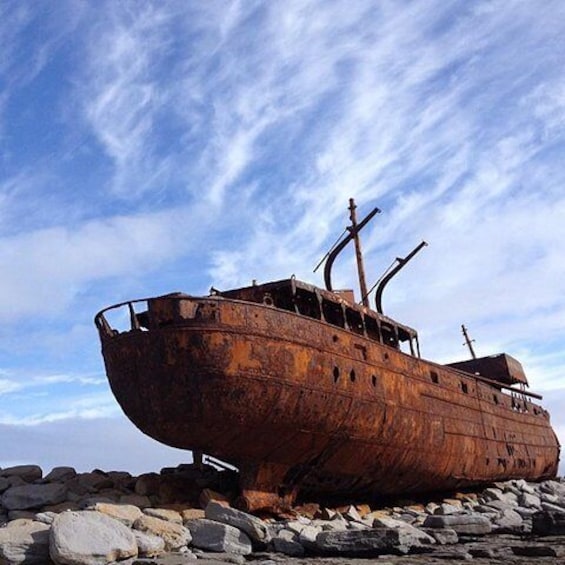 Visit the Plassey Shipwreck