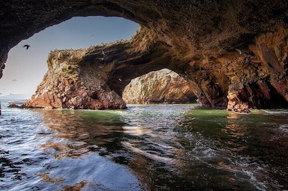 Full-Day Paracas Islas Ballestas Guided Tour