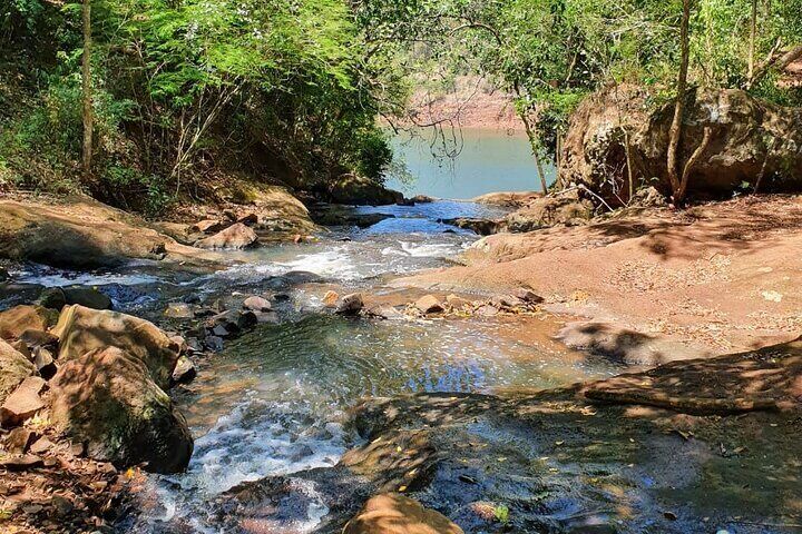 Full Day Hike through Secret Waterfalls in Foz do Iguaçu