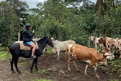 Arenal Fields Horseback Riding Tour: A Unique Experience in La Fortuna