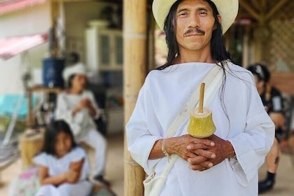 Tour of indigenous trails, coffee, cocoa, waterfalls - Minca