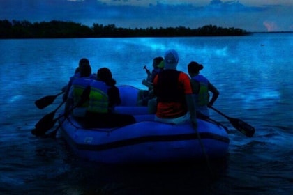 Bioluminescence Rafting Boat Tour Wildlife Refuge