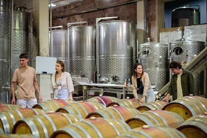 Ijevan Wine Brandy Factory Visit with Sightseeing