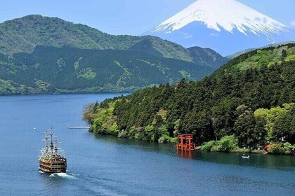 Mt. Fuji and Hakone Area Tour from Tokyo with Guide & Vehicle