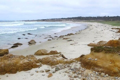 Carmel Drive Tour