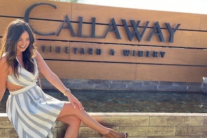 Private Temecula Wine Tour from Newport Beach