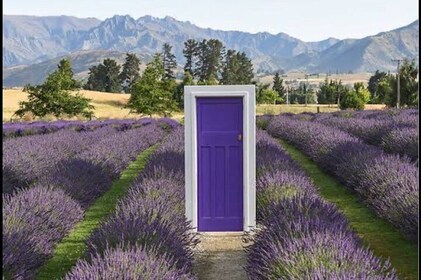 Private Queenstown and Wanaka City Day Tour