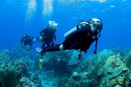 PADI Open Water Diving Course W/transfer -Marsa Alam