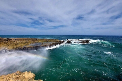 Aruba Private 8 Hour Full Island Customized Adventure Tour