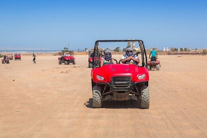 Family Buggy Safari & Camel Ride with Transfer :Marsa Alam
