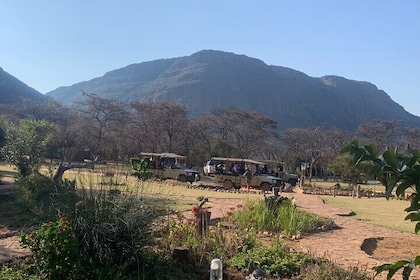 Sun city and Pilanesberg