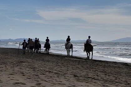 Horseback Riding Through the Tuscan Hills of Castagneto Carducci