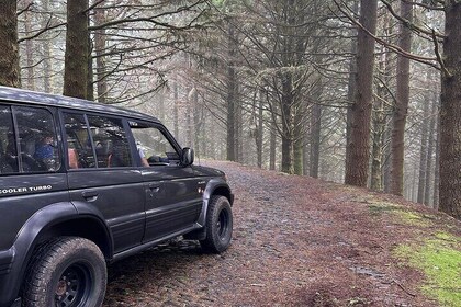 East Shared Jeep Tour Experience