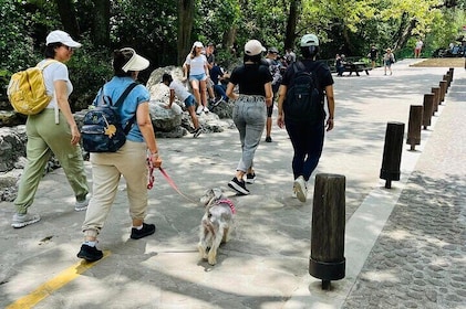 Private Tour to Santiago + Guide + Transfer