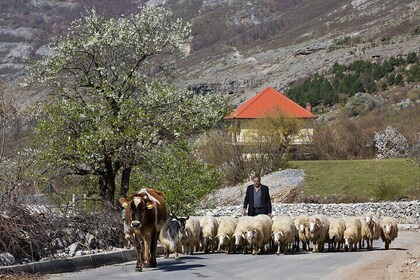 Peaks of the Albanian Alps Self Drive Off Road 7 Days Tour