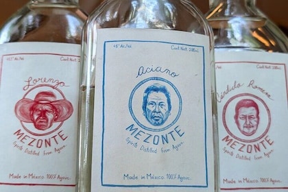 Tequila and Mezcal Tasting in DC