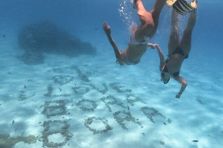 Exceptional Half day on the turquoise lagoon of Bora Bora