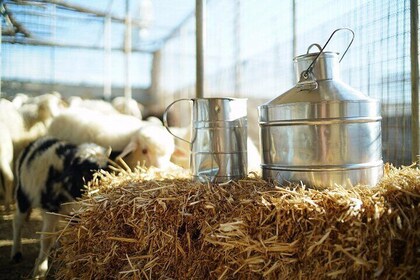 Culinary Journey Cooking Workshop and Cheese Tasting in Mykonos