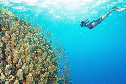 Ras Mohamed & White Island Luxury Yacht Trip from Sharm el Sheikh