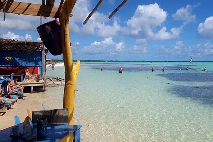 Kralendijk Tours in South Side