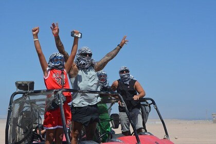 Family Buggy Safari & Camel Ride Adventure W/Transfer– Marsa Alam
