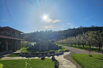 Rakija Distillery Guided Tour and Tasting
