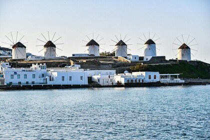 3-day Vegan Private Tour Package Athens & Mykonos