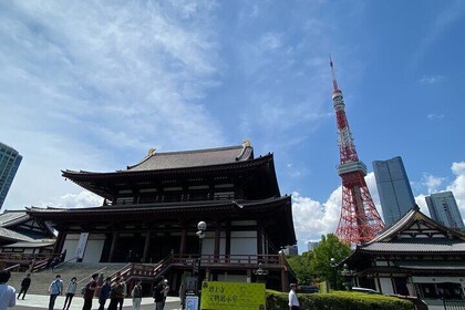 Tokyo Tower & Zojoji Temple Tour (Includes Tokyo Tower Ticket)