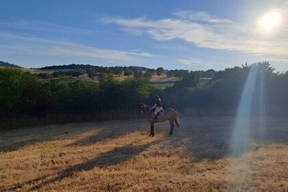 Horseback Ride in the Tolfa Mountains near Bracciano