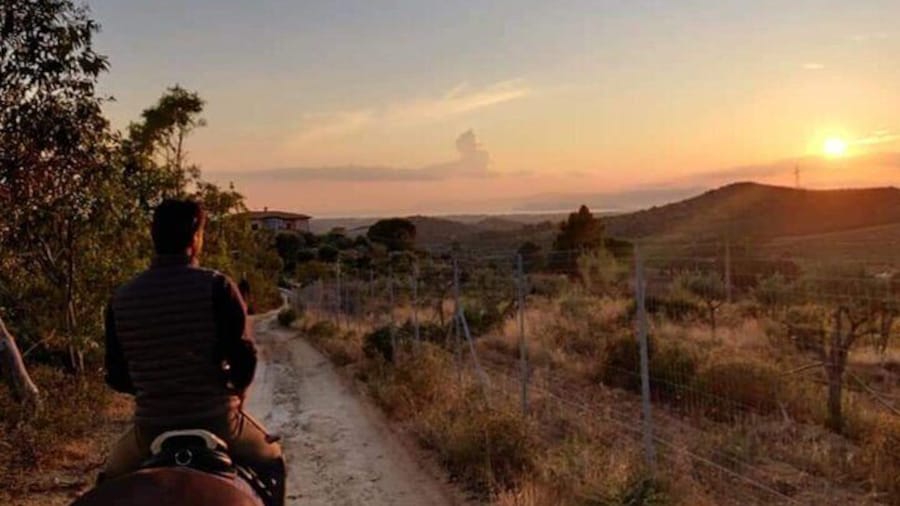 Cagliari Panoramic Horseback Riding