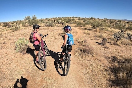 Sonoran Desert Guided Mountain Bike Adventure