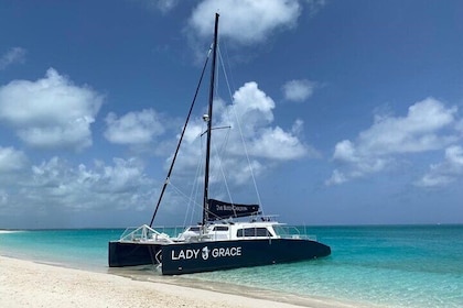 Deluxe Half-Day Snorkel Sail on Lady Grace Luxury Catamaran