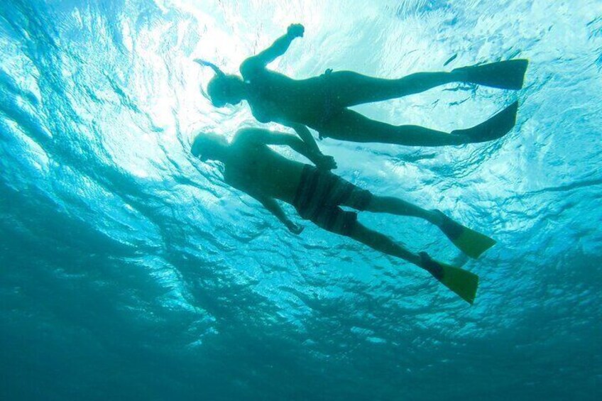 Half-Day Reef Snorkel on Lady Grace Luxury Catamaran