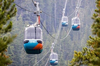 Banff: Gondola, Hot Spring and Three Lakes Tour