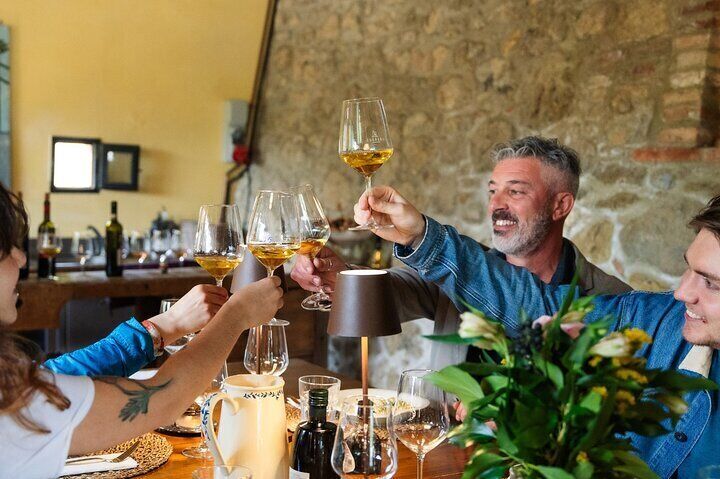 San Gimignano and Vineyard Wine Tasting in Tuscan Hills