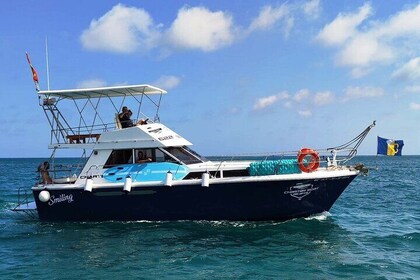 Charter Boat Alicante – Explore the Mediterranean Coast
