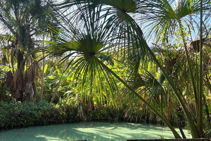 3-Day Tour to the Natural Paradise of Jalapão 