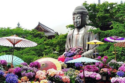 Nara: Discover a Giant Stone Buddha in the Forest Hills