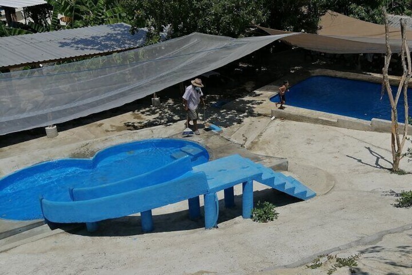 Hot Springs Water Visiting Dos Arroyos Guerrero.