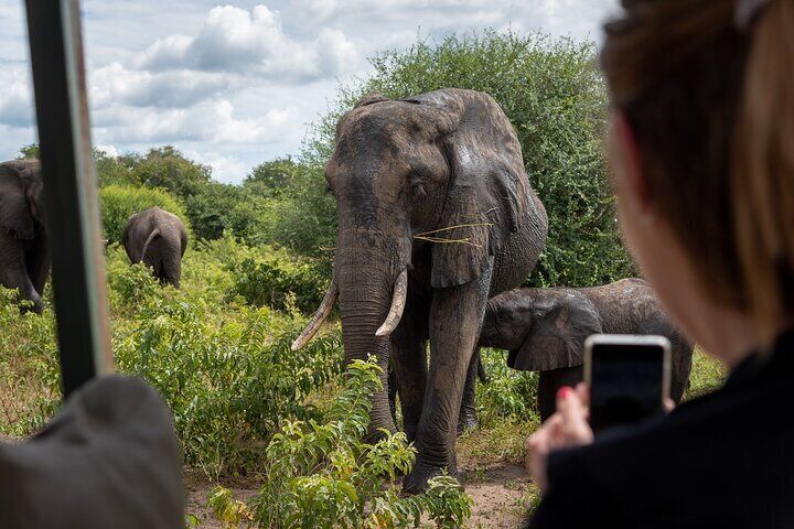 Experience Chobe Day Trip Tour