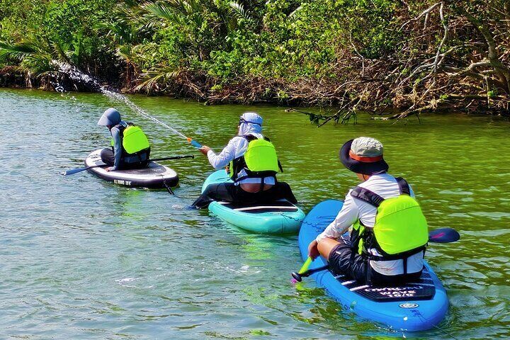 Wanning Stand Up Paddle boarding Adventure at Sun Moon Bay