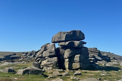Half day Guided Dartmoor Tour
