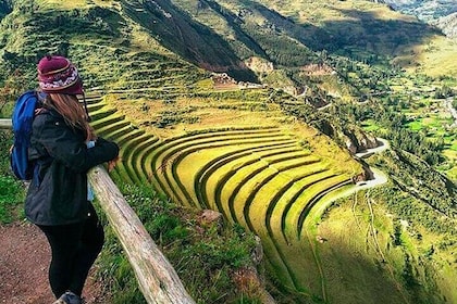 Tour Sacred Valley and Buffet Lunch Full Day