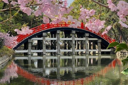 Legends of Sumiyoshi Taisha Shrine with Japanese Drink in Osaka